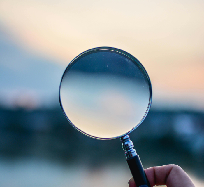 Algolia, Search